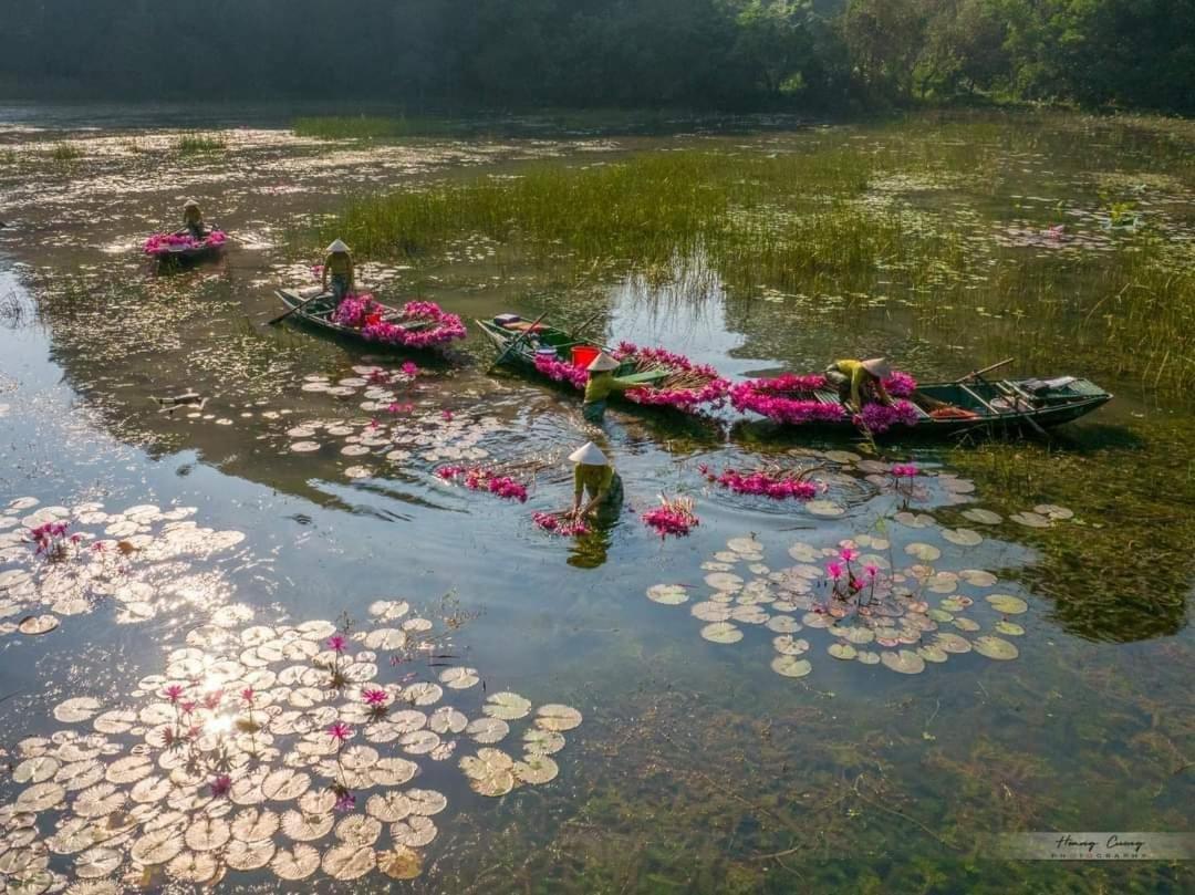 Tam Coc Paradise Homestay Ninh Binh Dış mekan fotoğraf